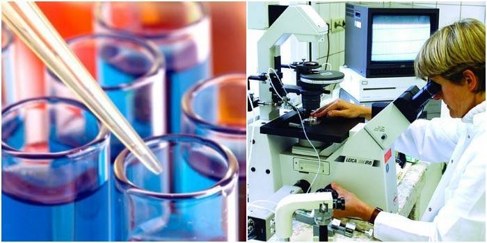 laboratorio