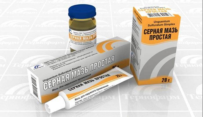 Sieros tepalas - iš inkštirų